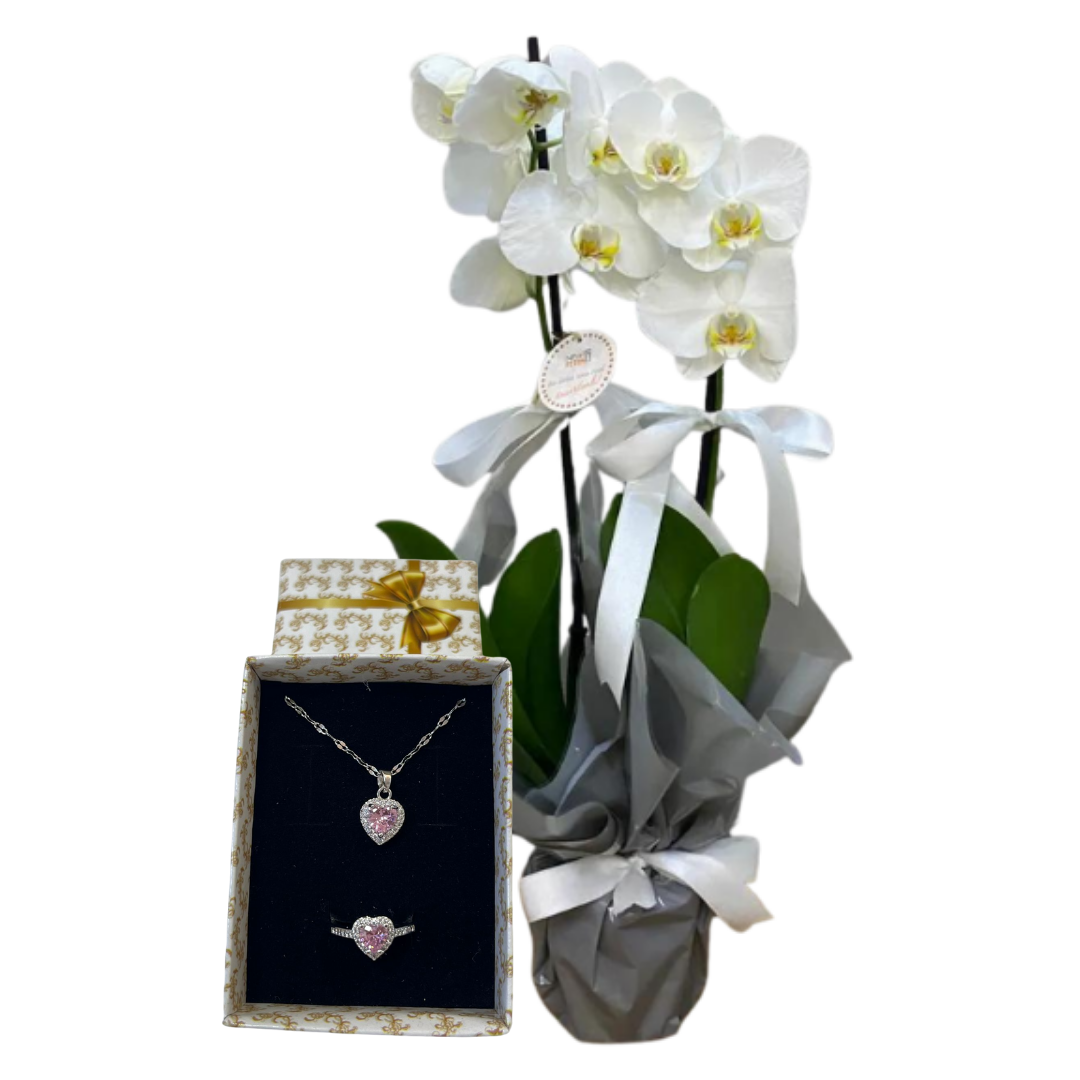 Işıltı  Dokunuşu