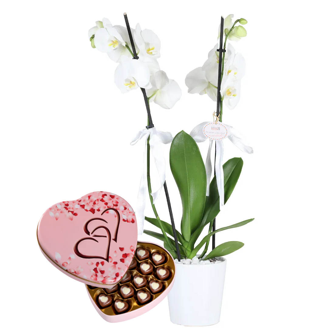 Romantik ve Zarif Buket