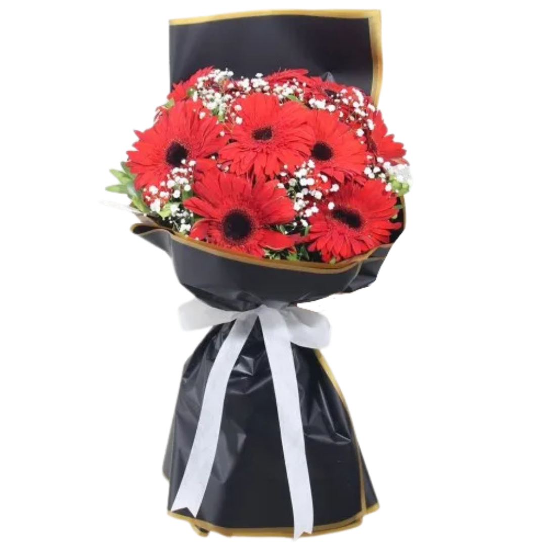 Aşk Dolu Kırmızı Gerbera