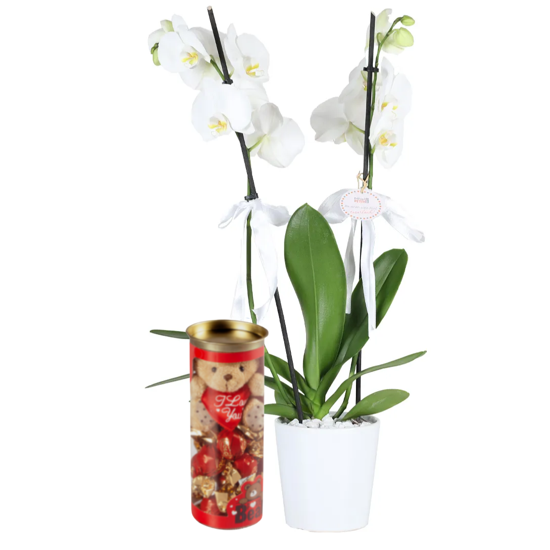 Zarafet ve Tatlılık