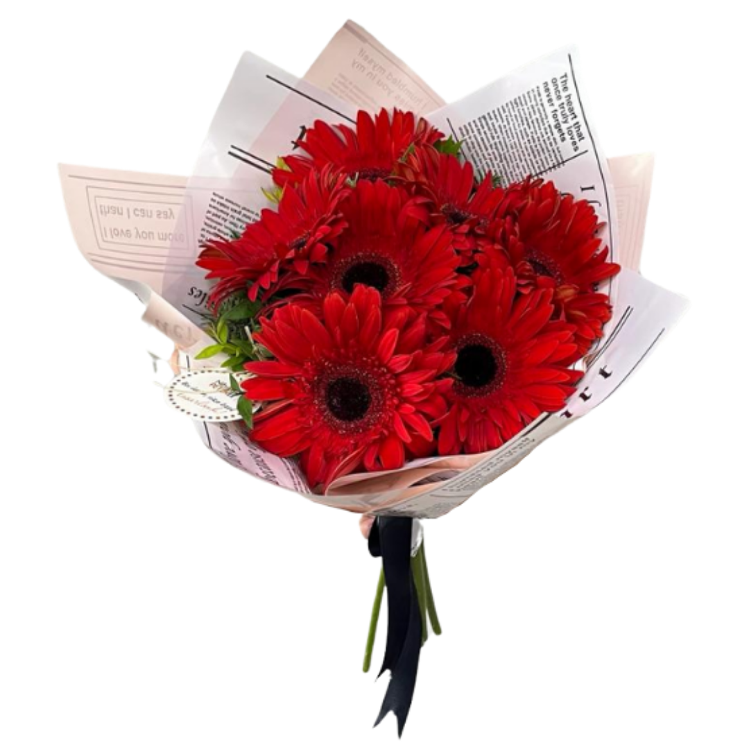 Rüyaların Dansı Gerberalar