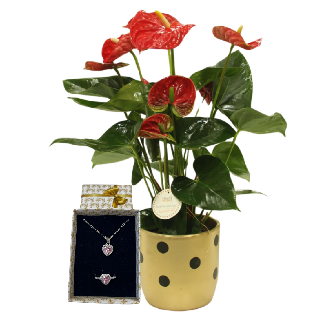 Puantiyeli Işıltı