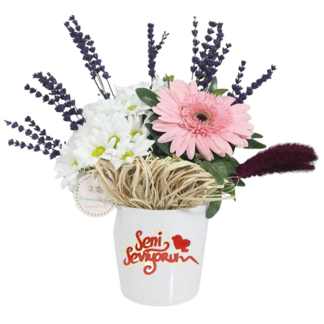 Seni Seviyorum Hediyesi