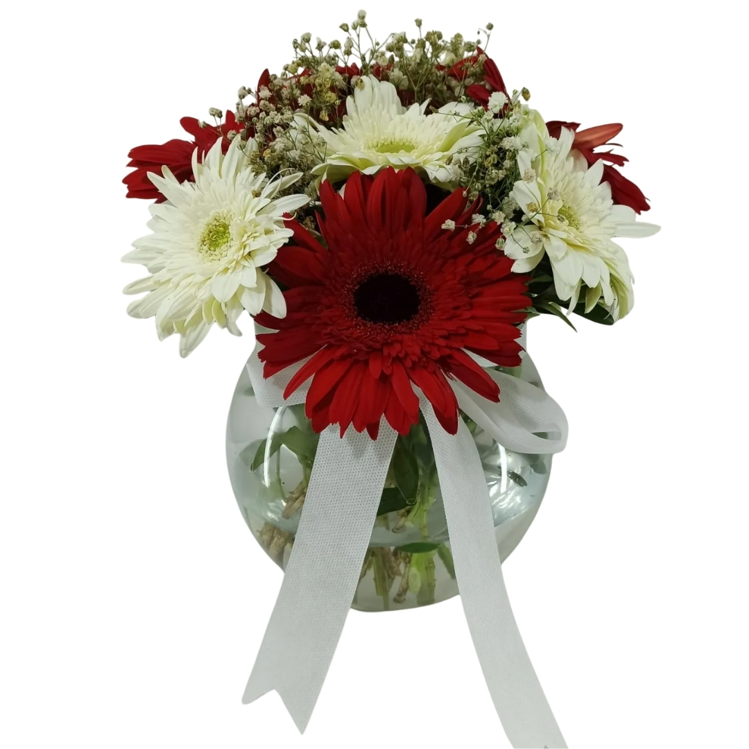 Göz Alıcı Gerberalar