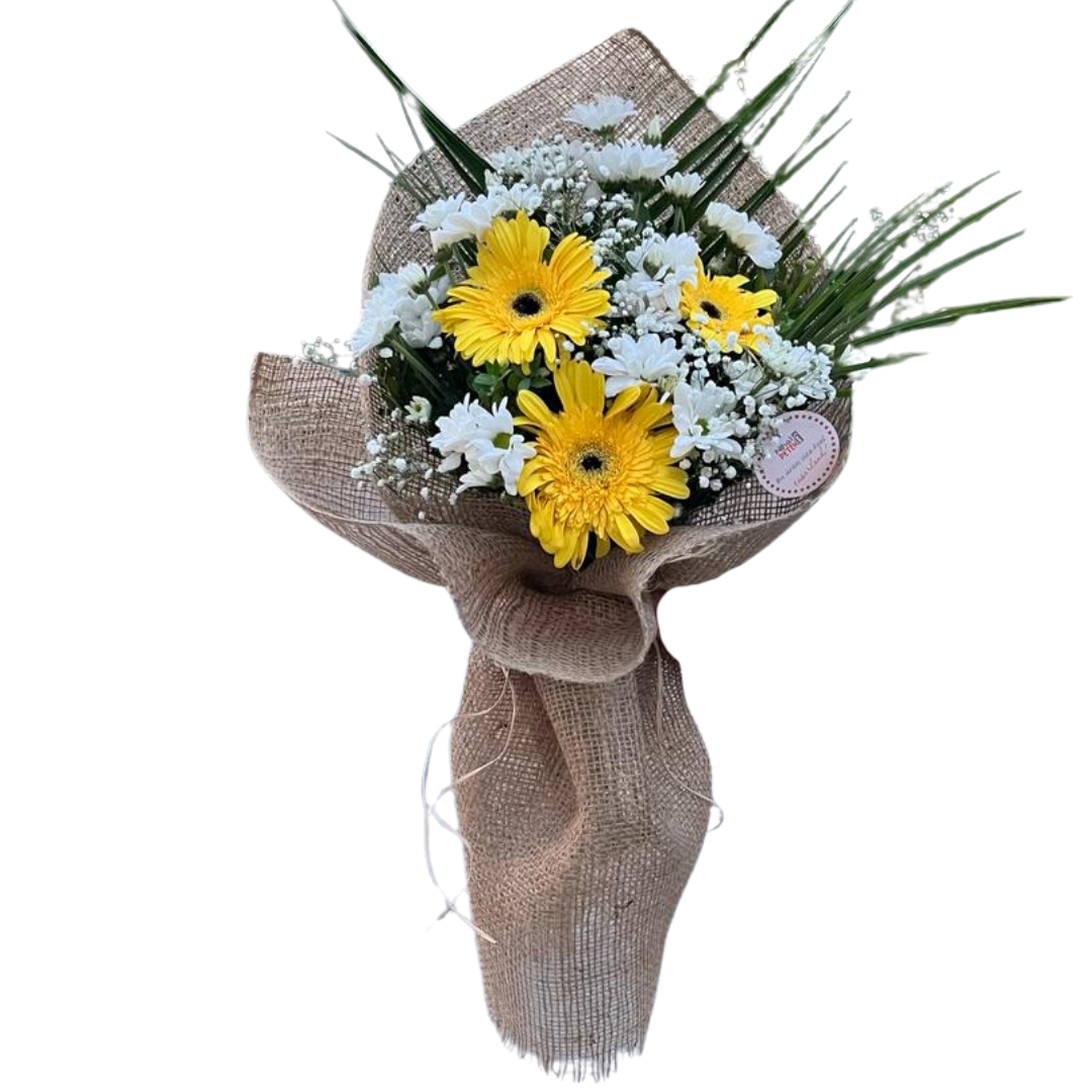 Beyaz Rüyalar ve Sarı Güneş