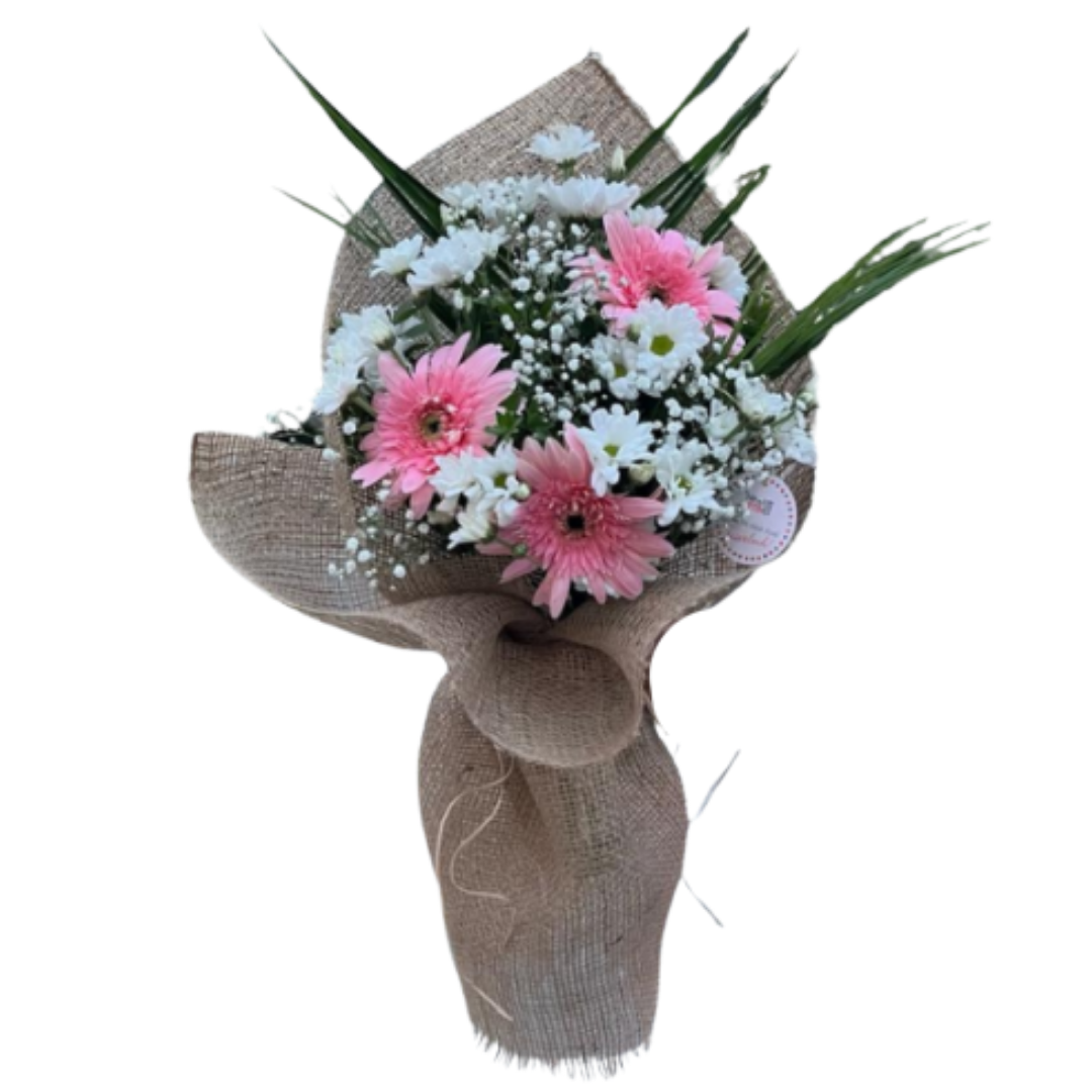 Papatya Pembe Dokunuşları