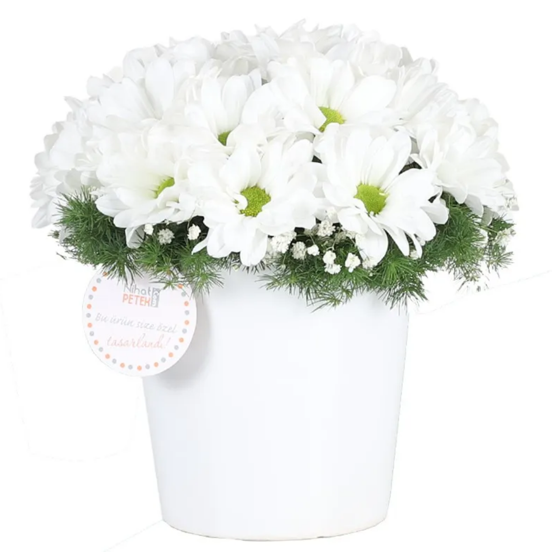 Masumiyetin Parıltısı