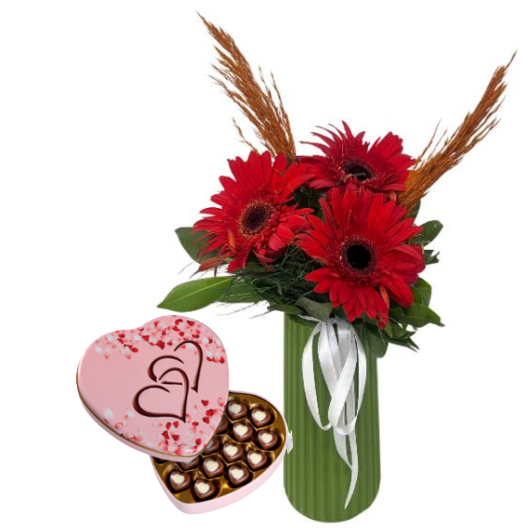 Lezzetlin Gerberası