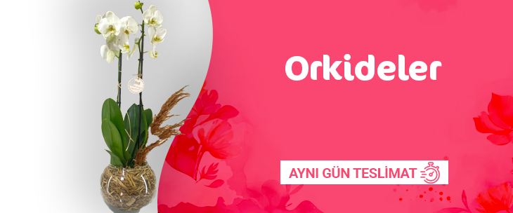 Nihat Petek