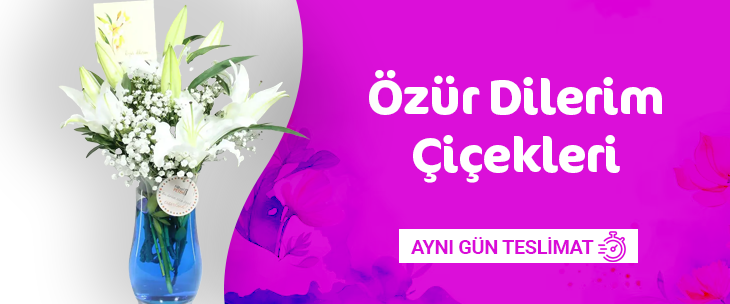 Nihat Petek