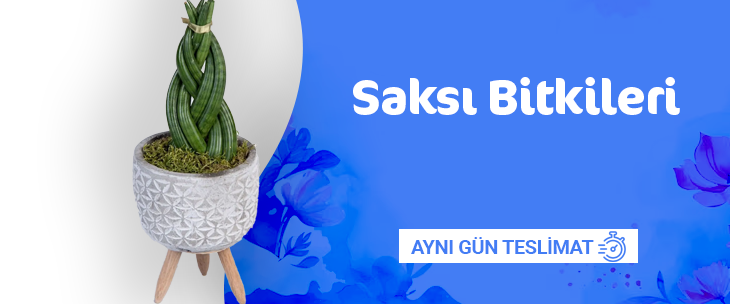 Nihat Petek