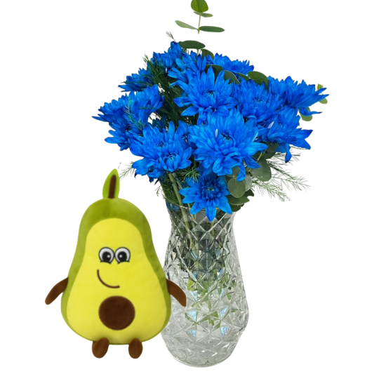 Avakadolu Mavi Kasımpatı