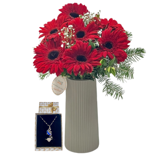 Gecenin Rengi Gerberalar