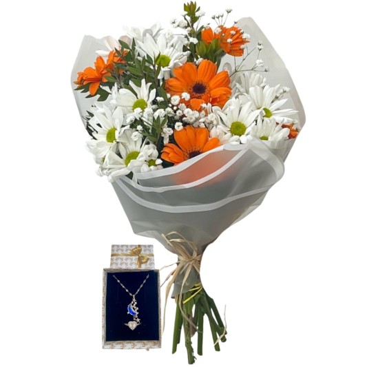 Kızıl Gökyüzünün Işığı