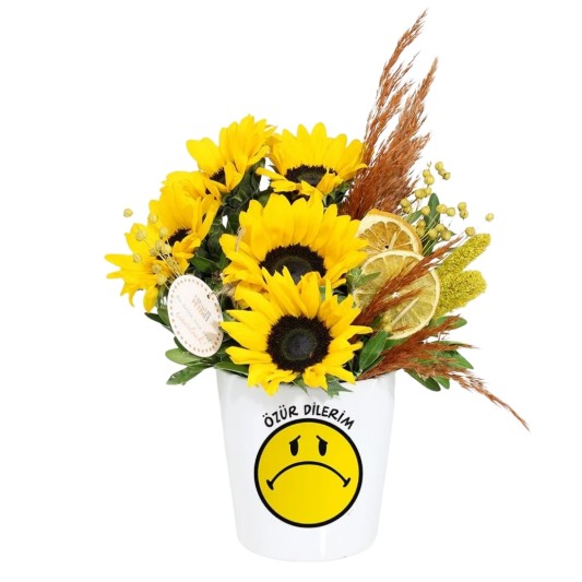 Özür Dilerim Ayçiçeğim