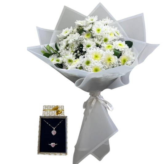 Beyaz Kasımpatı Işıltısı