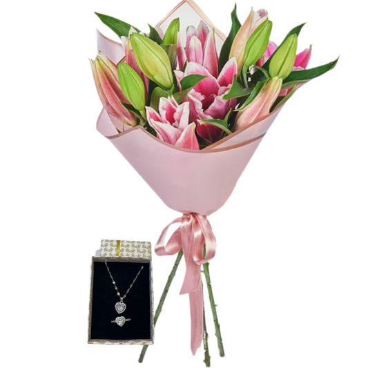 Pembe Lilyum Pandorası