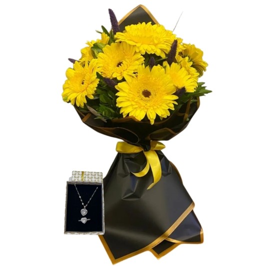 Güneş Işığı Enerjisi