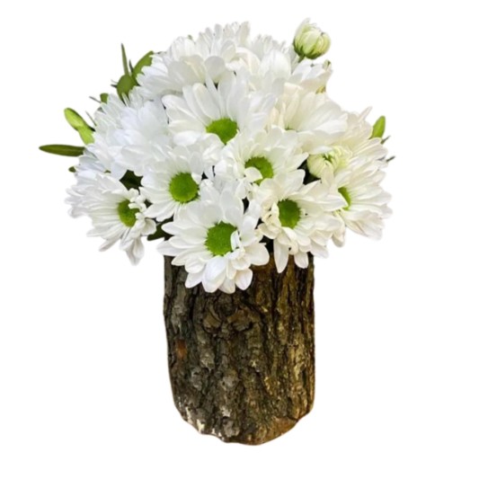 Saf Güzelliğin Pandorası