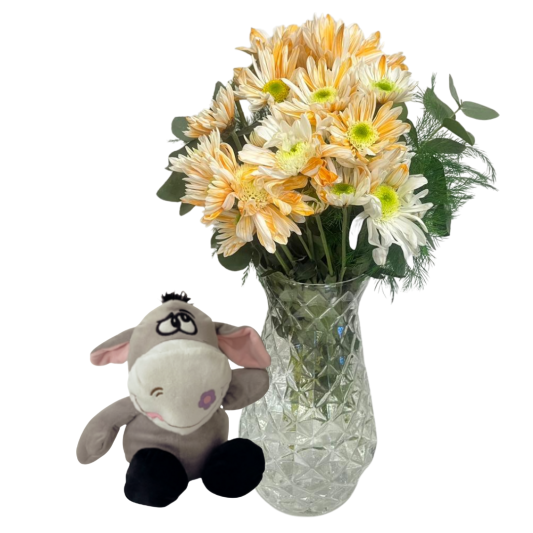 Süprizizn En Güzeli