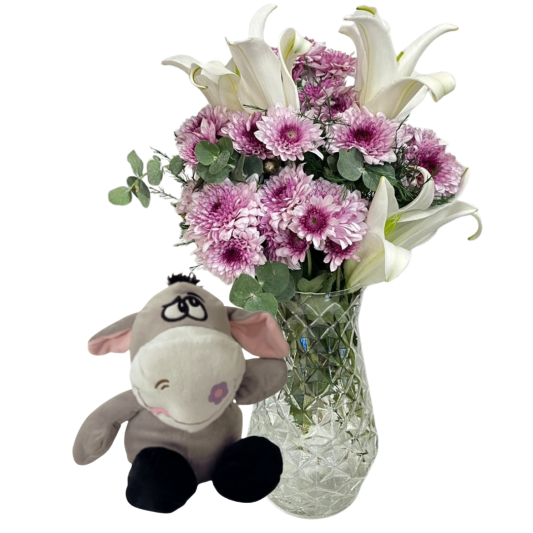 Pembe Kasımpatıya Dost