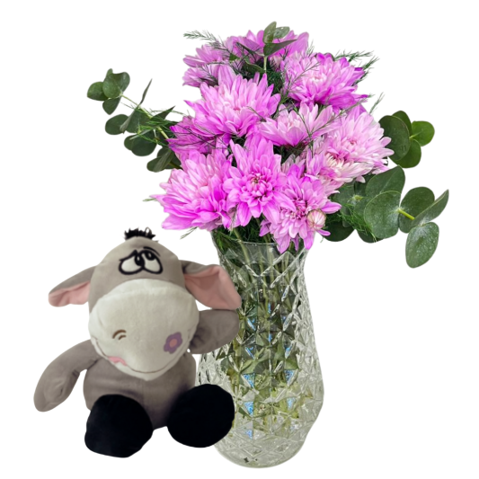 Eşekli Kristalli Kasımpatı 