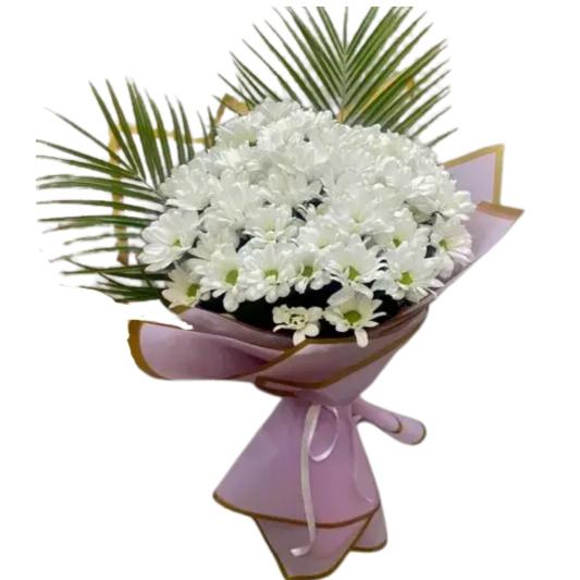 Zarif Papatyanın Kanadı