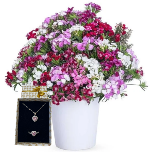 Renkli Hüsnüyusuf Zarafeti