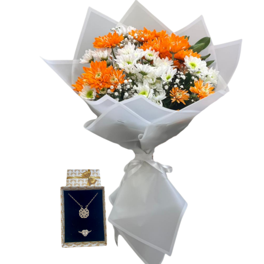 Şans Işıltısı Kasımpatı