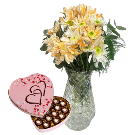 Tatlı Kasımpatı Dünyası