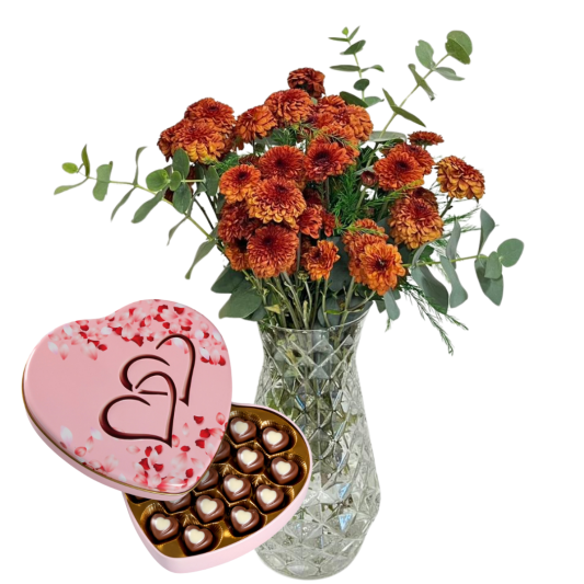 Çikolatalı Kahverengi Kasımpatı