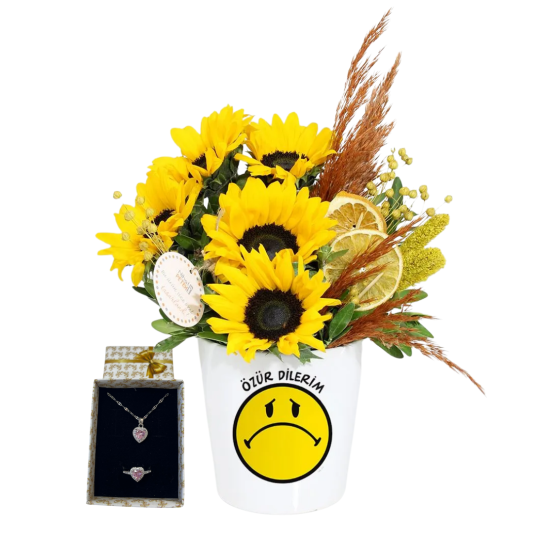 Güneşli Özür Etkisi