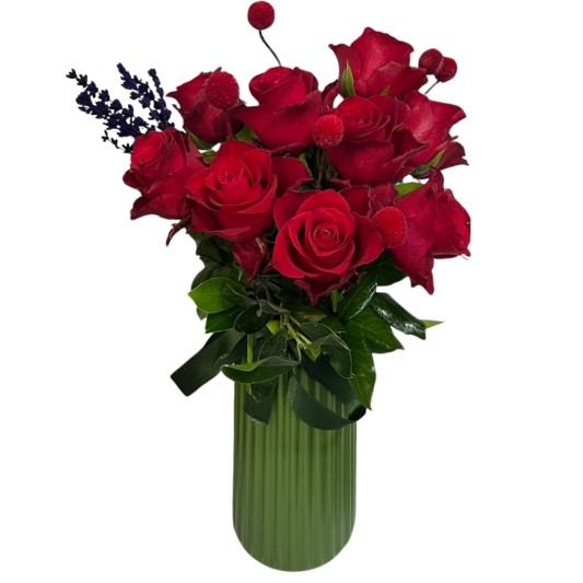 Kırmızının Asilliği