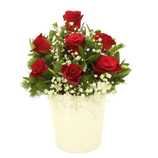 Kırmızı Güzellik