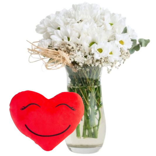 Kalpli Yastığın Papatyası