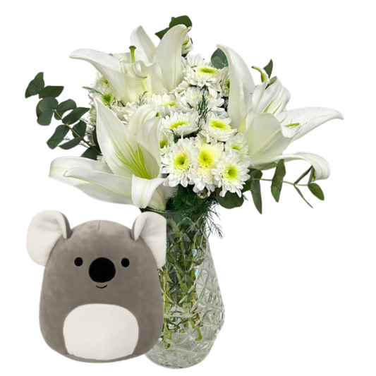 Koalanın Beyazla Uyumu 