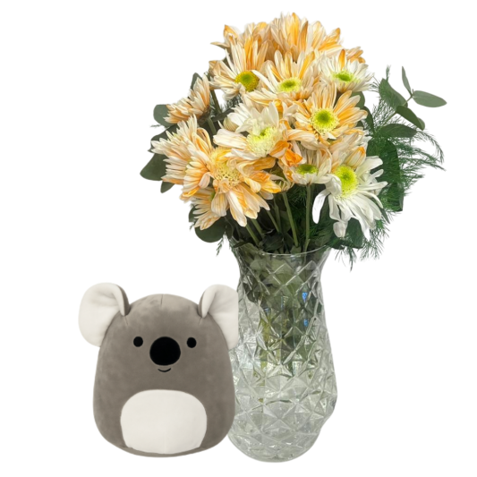 Kasımpatıya Neşeli Dokunuş