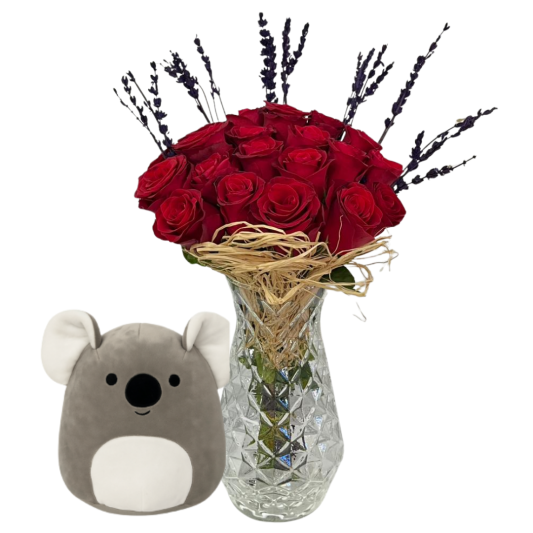 Koalanın Kırmızı Gülü