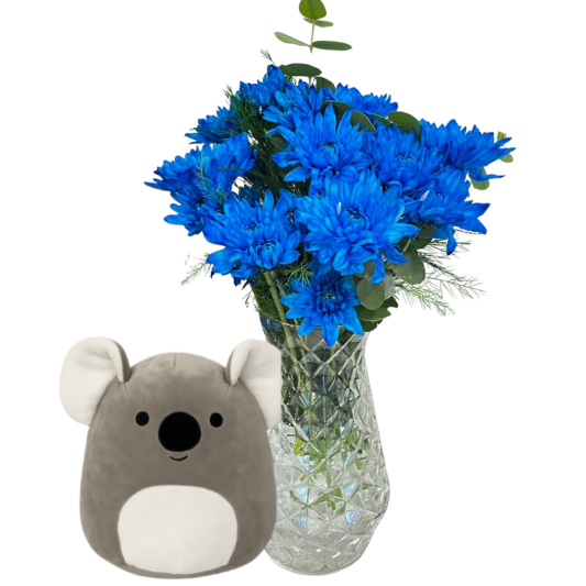 Koalanın Mavi Kasımpatısı