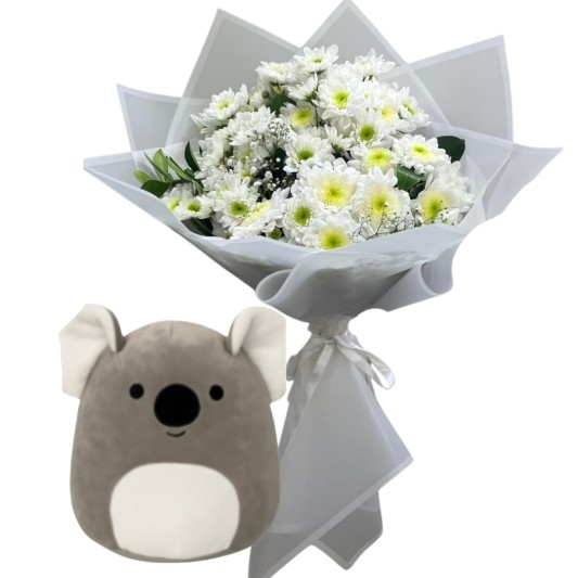 Koalanın Beyaz Kasımpatısı