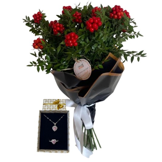 Kış Sıcaklığı Işıltısı