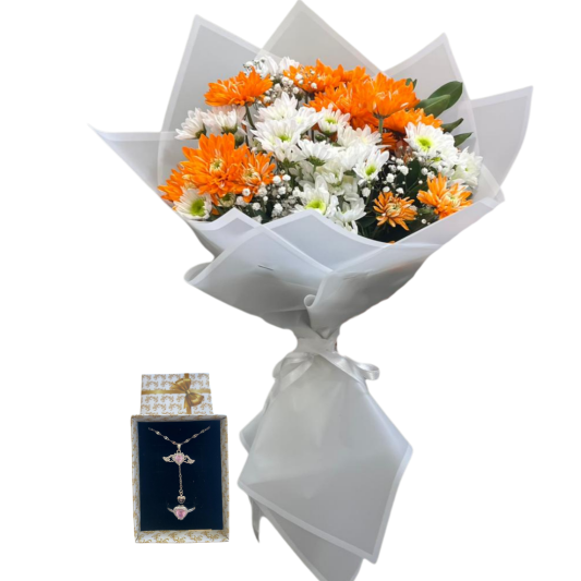 Kasımpatı ve Melek Işığı