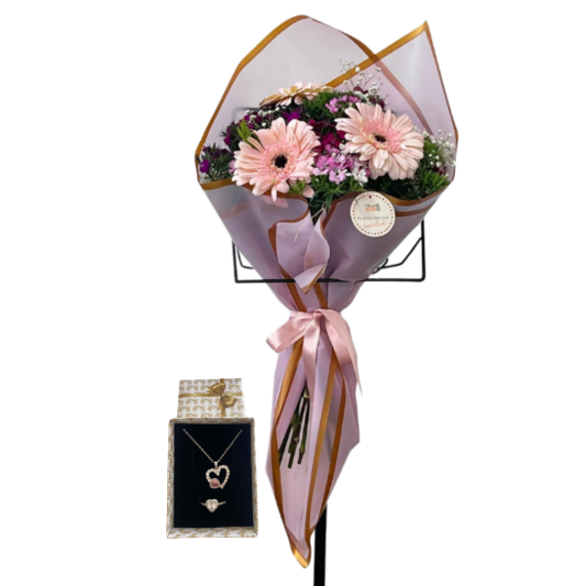 Gerbera Kalbin Pembesi