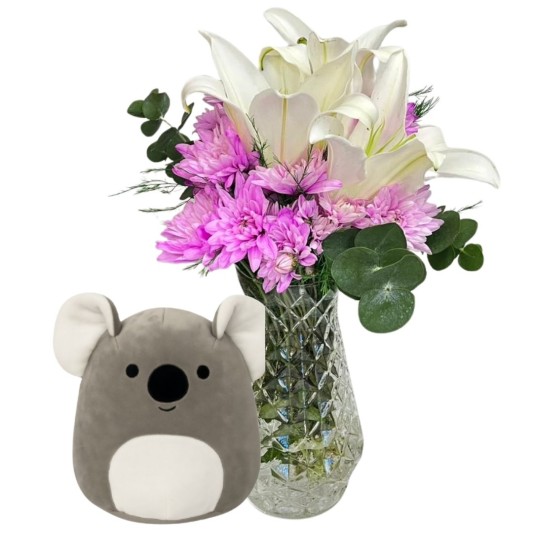 Koalanın Kristal Dünyası