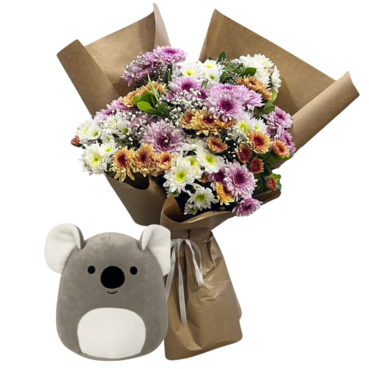 Kasımpatının Koalası 