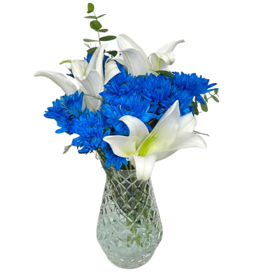 Kasımpatının Mavi Tutulması