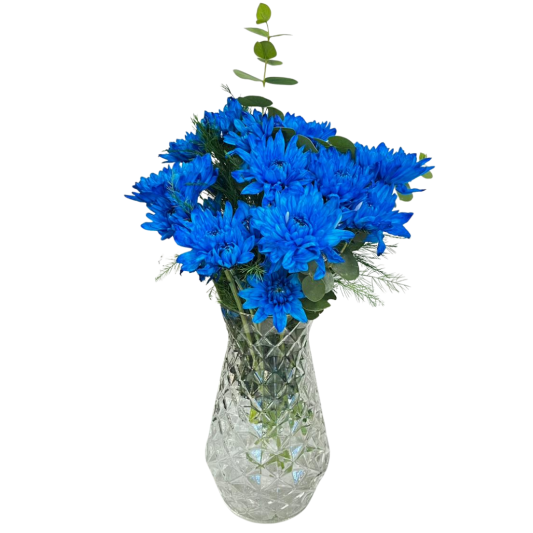 Avakadolu Mavi Kasımpatı