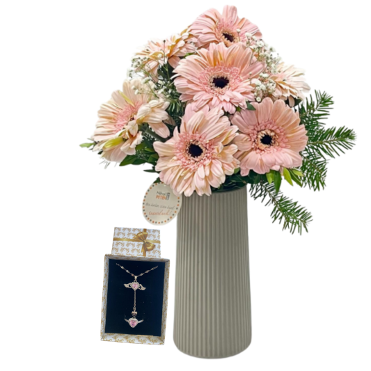 Gerberanın Koruyucu Hediyesi