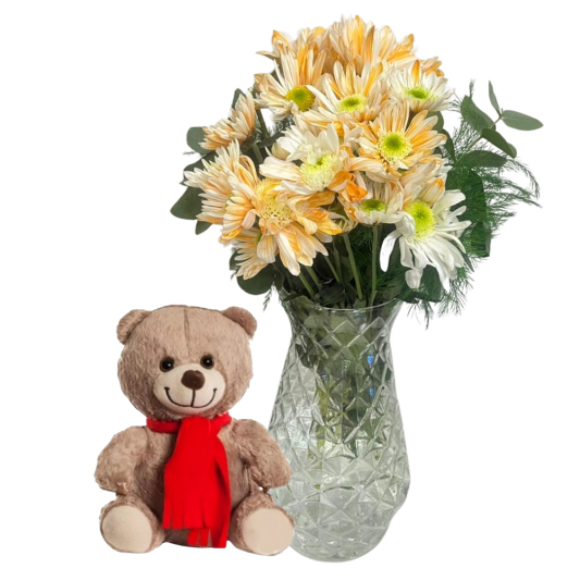 Ayıcığın Güneşli Kasımpatısı 