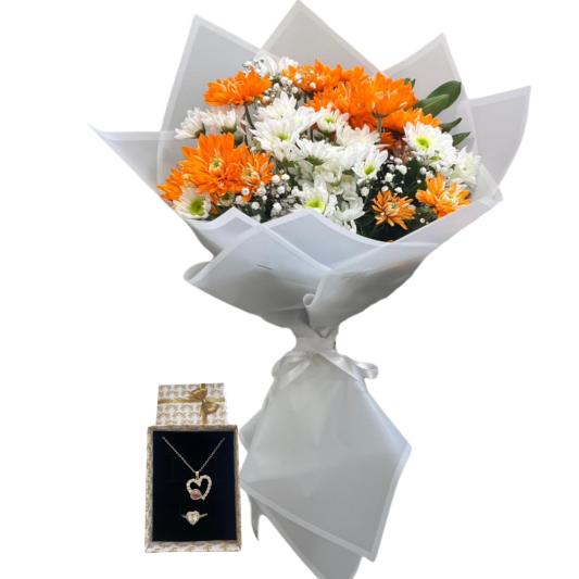 Renkli Kasımpatı Işıltısı